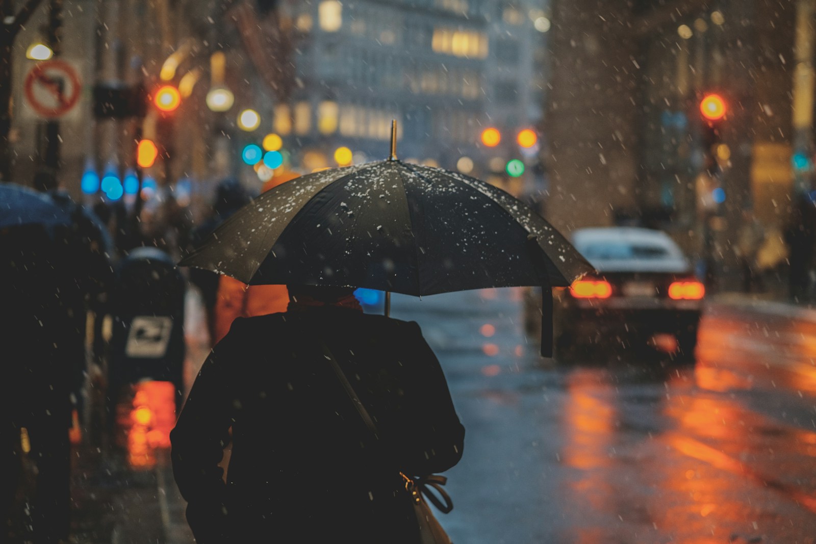 雨の降る街を、傘をさして歩く人の後ろ姿
