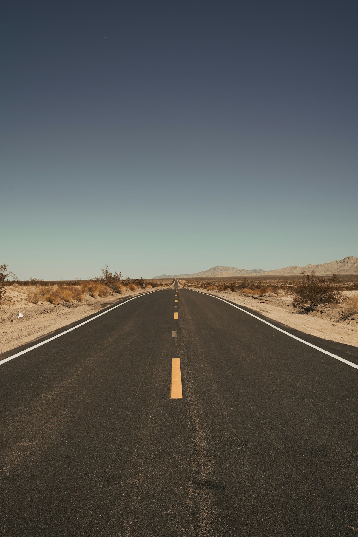 地平線に向かって伸びる一本道